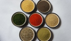 What is Shichimi?